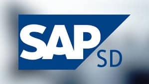 SAP SD Course in Pune