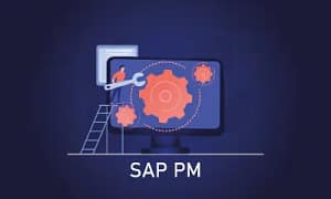 SAP PM Course in Mumbai
