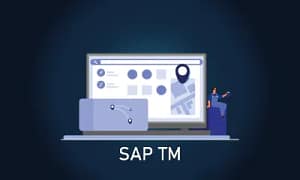 SAP TM Course in Mumbai