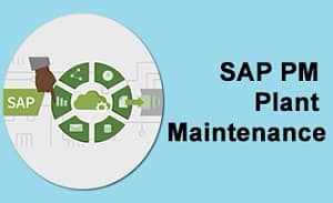 SAP PM Course in Pune